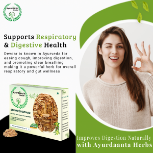 Ayurdaanta Herbs - Devdar / देवदार / देबदारु - 100Gr | Devdar Wood  |Cedrus Deodara | देवदार लकड़ी  | देवदार  - Himalayan Cedar Wood for Havan and Pujan & Medicine