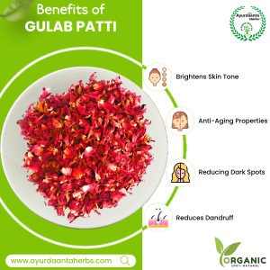 Ayurdaanta Herbs - Natural Dry Rose Petals/गुलाब पत्ती /Gulab leaves - 100% Organic Dried Flower Petals for Skin Care and Herbal Tea | Handpicked and Sun Dried | Enhance Immunity and Boost Well-being
