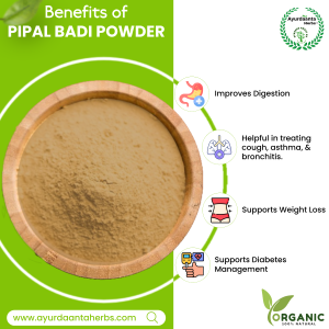 Pippali Powder (Pipal Badi Churna) – Ayurvedic Remedy for Cough, Bronchitis & Immunity | पिप्पली पाउडर (पीपल बड़ी चूर्ण) – खांसी, ब्रोंकाइटिस और रोग प्रतिरोधक क्षमता के लिए आयुर्वेदिक उपचार