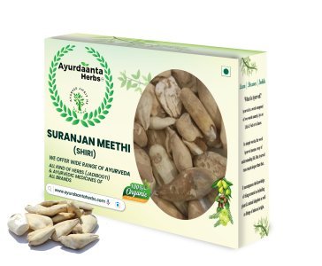Surjan Meethi (Colchicum Luteum) – Ayurvedic Joint Pain Remedy for Arthritis & Gout | सुरंजान मीठी – गठिया और वात रोग के लिए जोड़ों के दर्द की आयुर्वेदिक औषधि