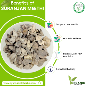 Surjan Meethi (Colchicum Luteum) – Ayurvedic Joint Pain Remedy for Arthritis & Gout | सुरंजान मीठी – गठिया और वात रोग के लिए जोड़ों के दर्द की आयुर्वेदिक औषधि