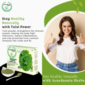 Tulsi Leaf Powder | तुलसी पत्र चूर्ण – Natural Respiratory Support by Ayurdaanta Herbs
