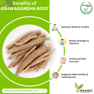 Ayurdaanta Herbs -Talmakhana , Kali Musli , Gokhru , Safaid Musli , Lajbanti , Nepali Sitawar , Aswagandha