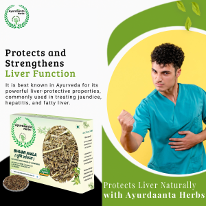 Bhumi Amla / भुई आंवला | Bhoomi Amla | Dried Bhumi Amla | Phyllanthus Niruri | Liver Detox Herb