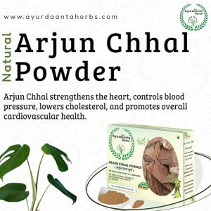 Arjun ki Chaal Powder |Terminalia Arjuna Bark Powder | Dry Premium Arjun Tree Bark Powder| अर्जुन छाल पाउडर(चूर्ण)100% Natural Sun Dried Reduce Bad Cholestero By Ayurdaanta Herbs