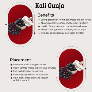 Special Laxmi Pujan Combo - Pili laxmi Kodi | Gomti Chakra | Kali Haldi  | Safed,Lal ,Kali Gomchi (Gunja,Chirmi) | Kamalgatta  - Special Combo For Laxmi Pujan & Diwali Pujan | पीली लक्ष्मी कोड़ी | गोमती चक्र | काली हल्दी |  सफेद,काली ,लाल   गुँजा ( गोमची , चिरमी ) | कमलगट्टा-दीपावली पूजन एवं लक्ष्मी पूजन के लिये स्पेशल पेक