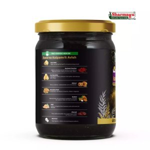 SHARMAYU Swarn Kalpamrit Avleha 500 gm + 100 gm